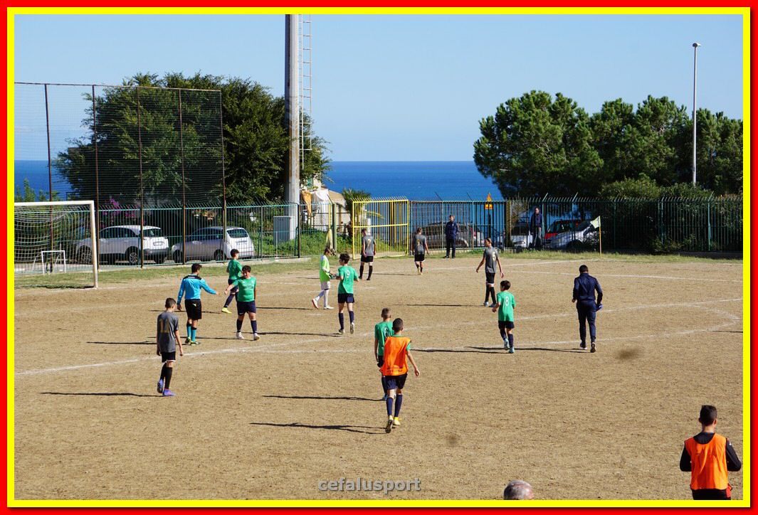 DSC08036.jpg