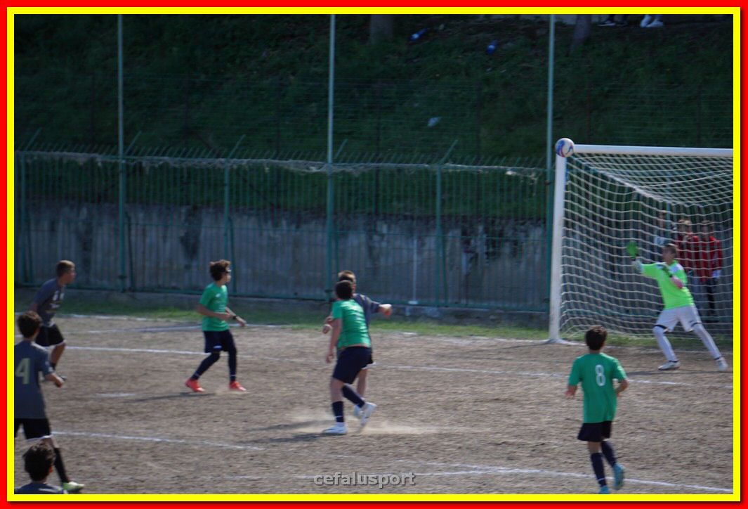 DSC08046.jpg