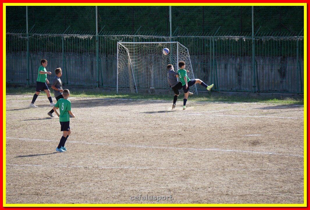 DSC08050.jpg
