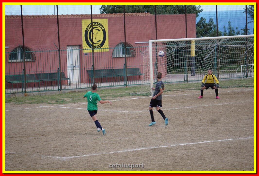 DSC08113.jpg