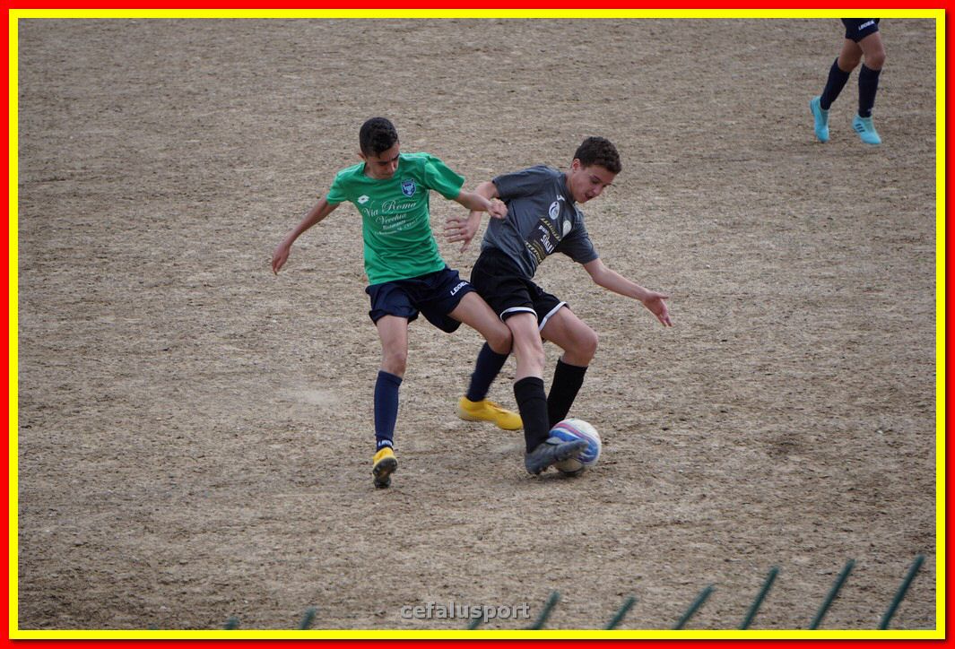 DSC08115.jpg