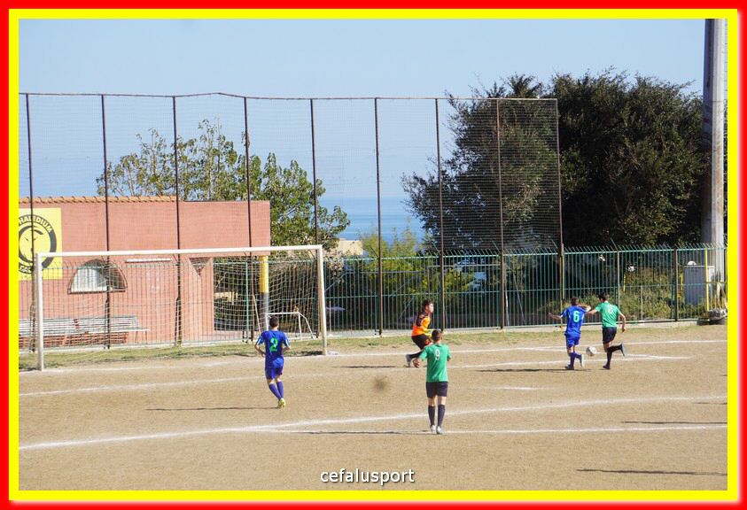 DSC07883.jpg
