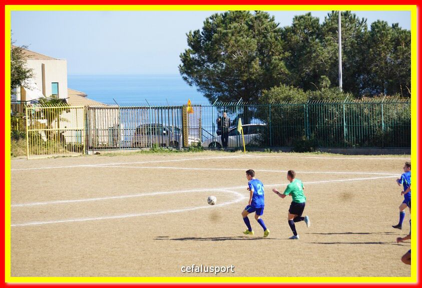 DSC07901.jpg
