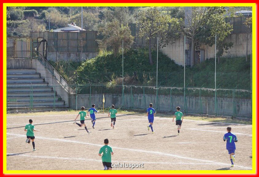 DSC07905.jpg