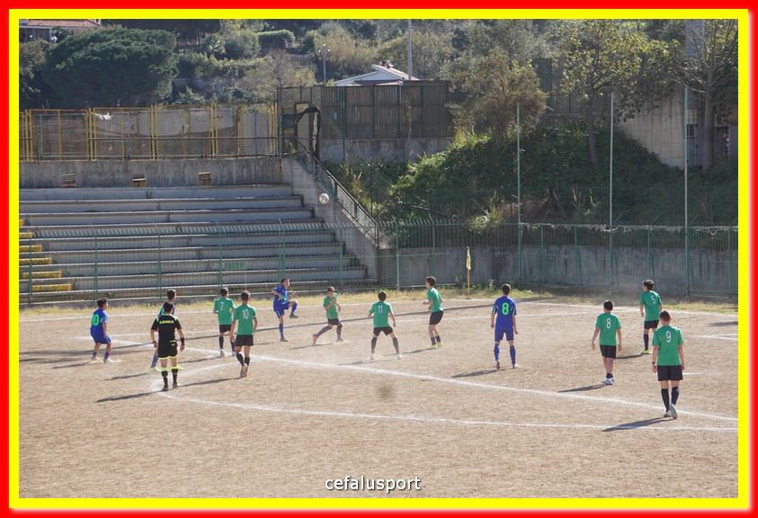DSC07918.jpg