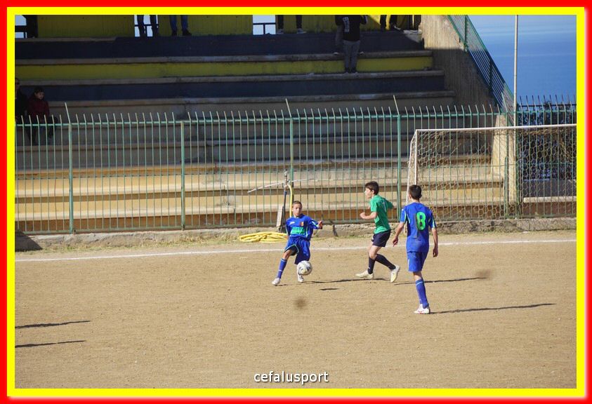 DSC07979.jpg