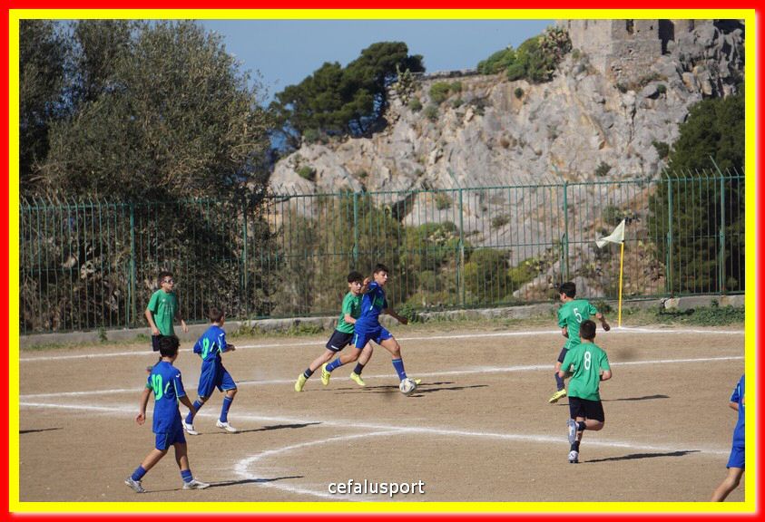 DSC07980.jpg