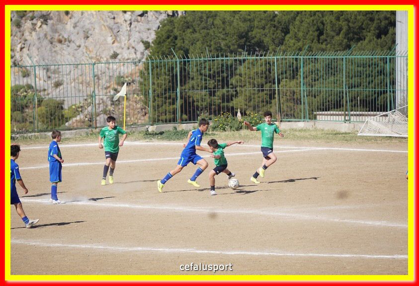 DSC07981.jpg