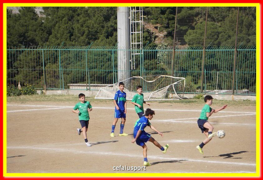 DSC07982.jpg