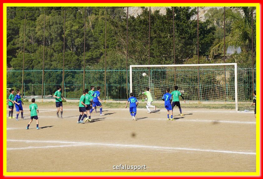 DSC07991.jpg