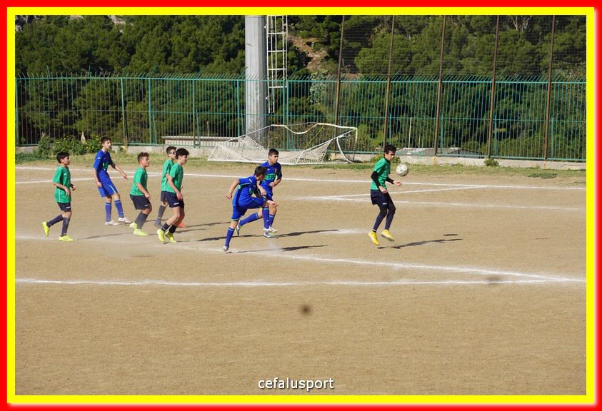 DSC07996.jpg