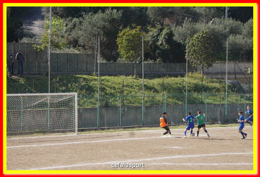 DSC07998.jpg