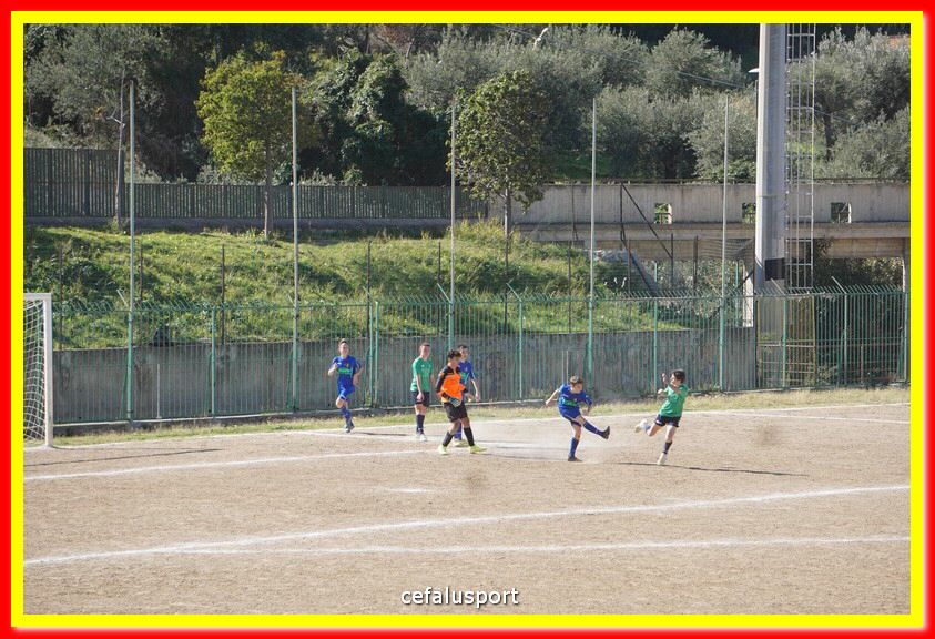 DSC07999.jpg