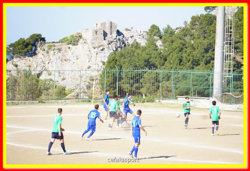 DSC08000.jpg