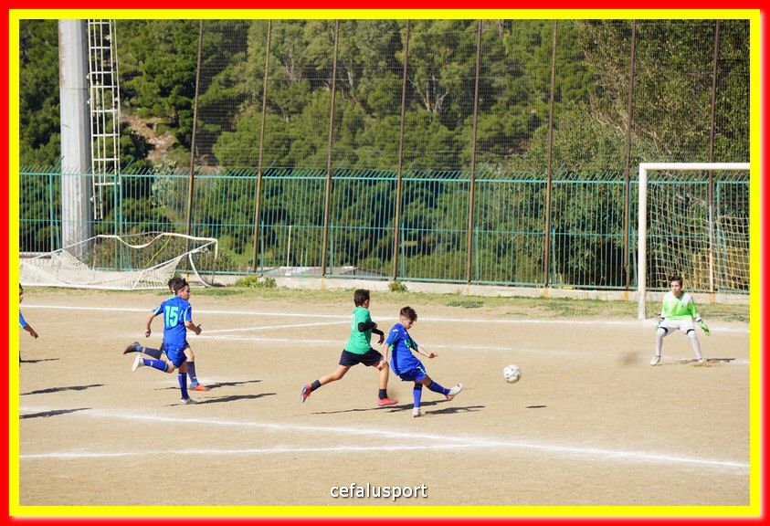 DSC08002.jpg