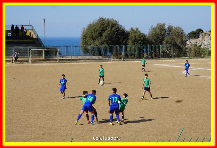 DSC08003.jpg