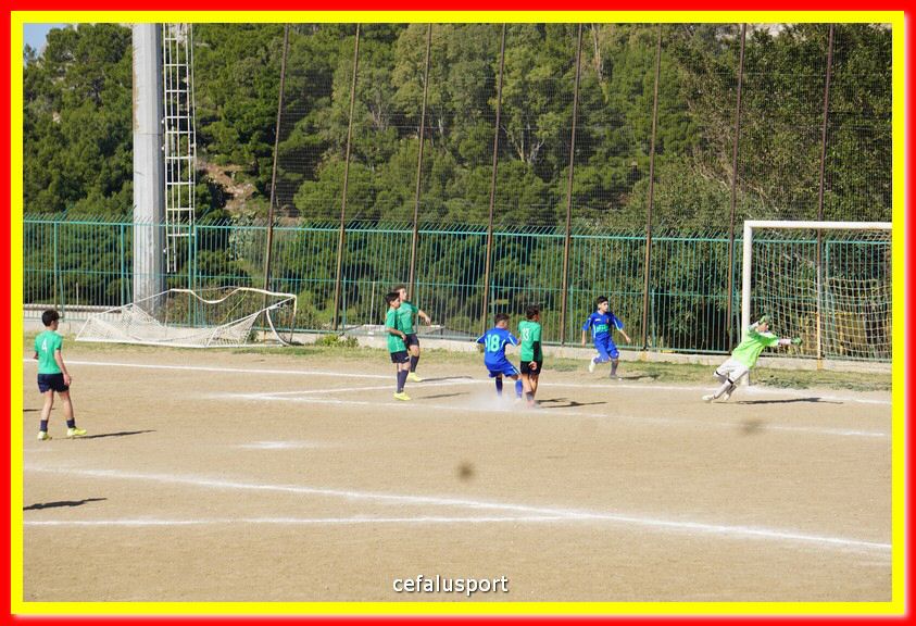 DSC08005.jpg