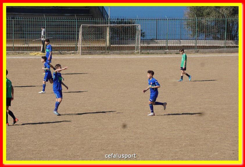 DSC08006.jpg