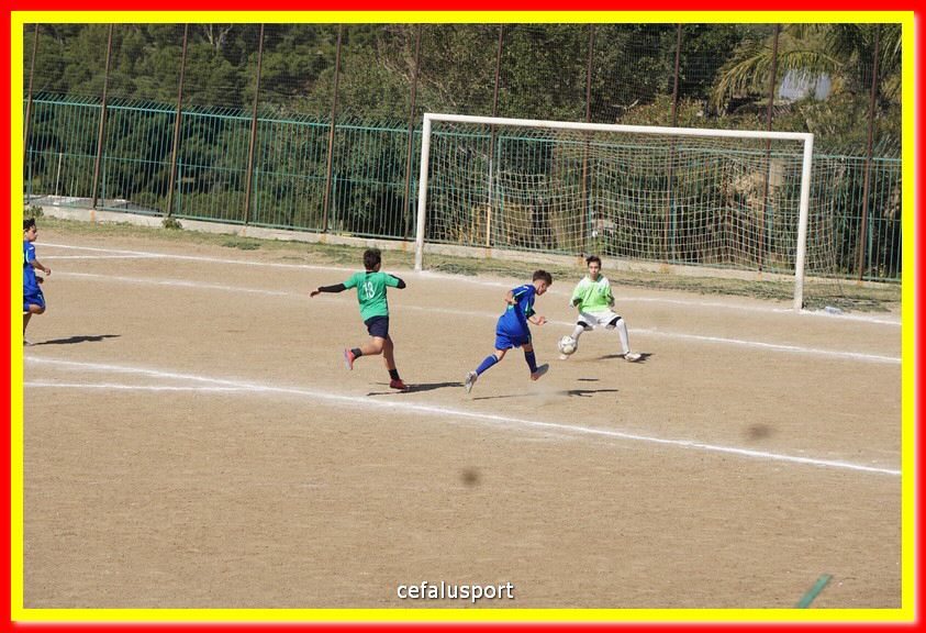 DSC08007.jpg