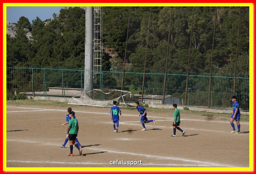 DSC08009.jpg