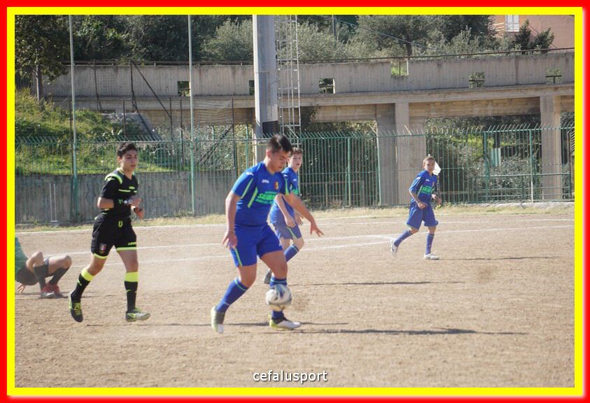 DSC08011.jpg