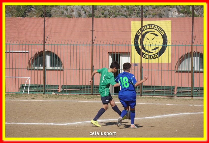 DSC08012.jpg