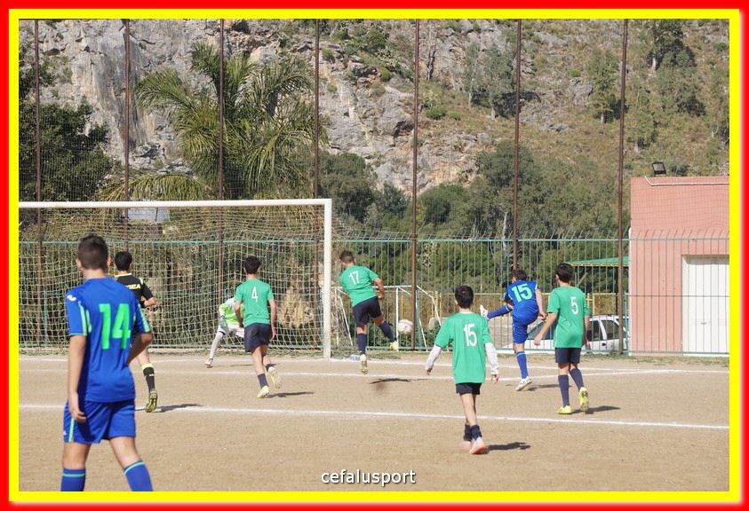 DSC08013.jpg