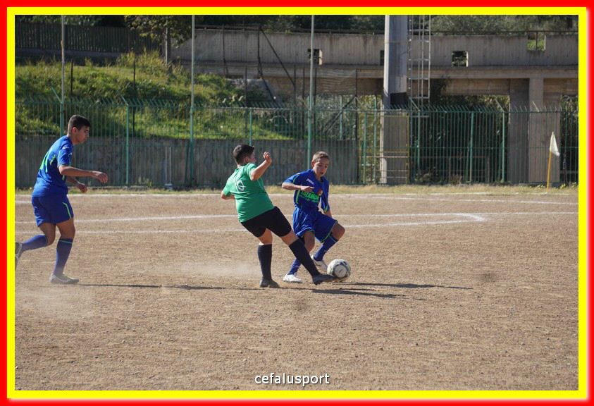 DSC08014.jpg