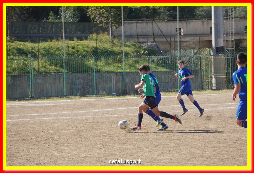 DSC08015.jpg