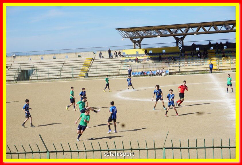 DSC08866.jpg