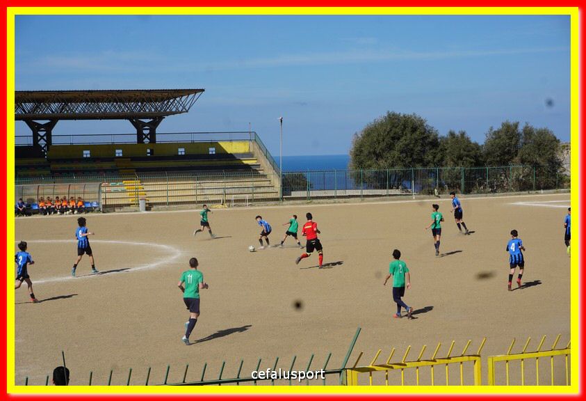 DSC08867.jpg