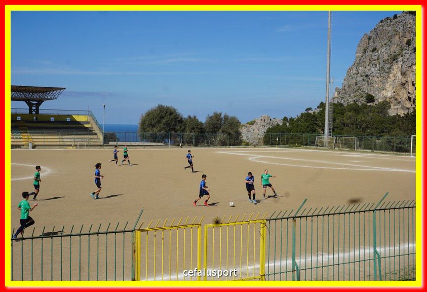 DSC08869.jpg