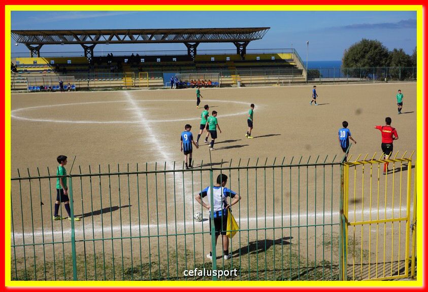 DSC08873.jpg