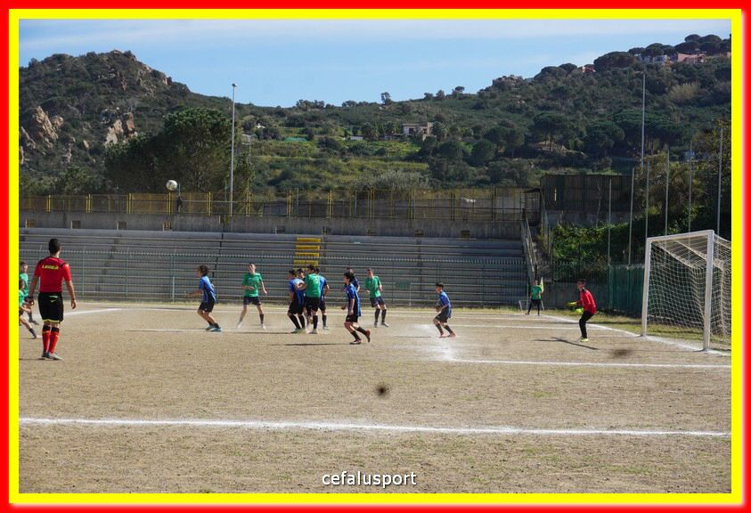 DSC08874.jpg