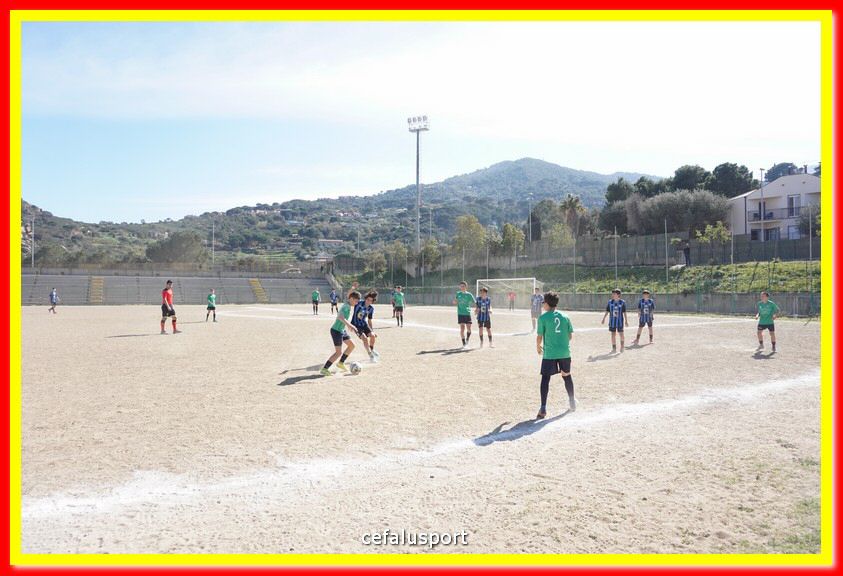 DSC08878.jpg