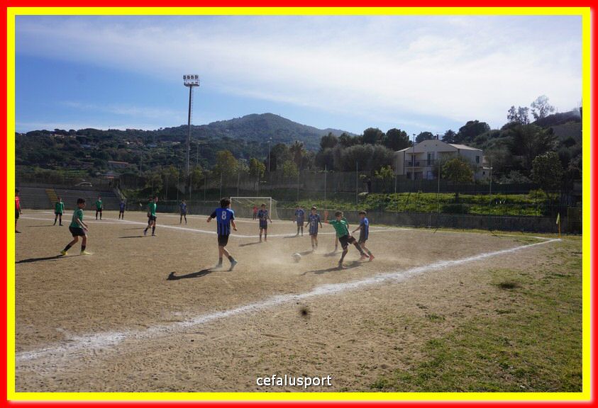 DSC08879.jpg