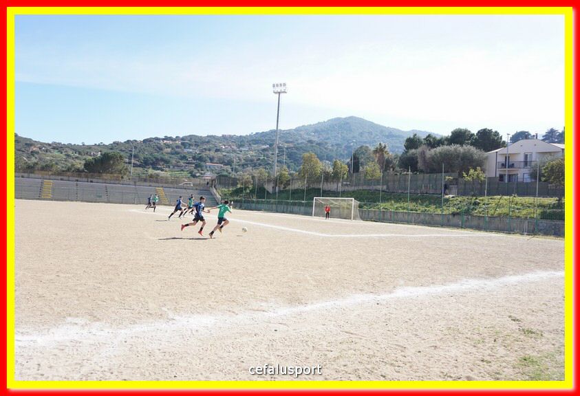 DSC08882.jpg
