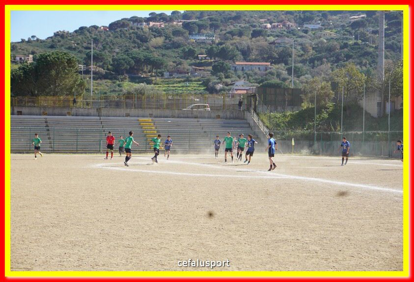 DSC08883.jpg