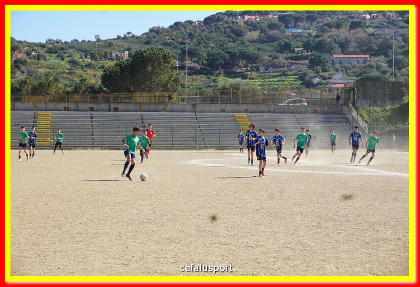 DSC08884.jpg