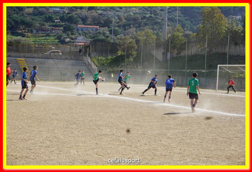 DSC08885.jpg