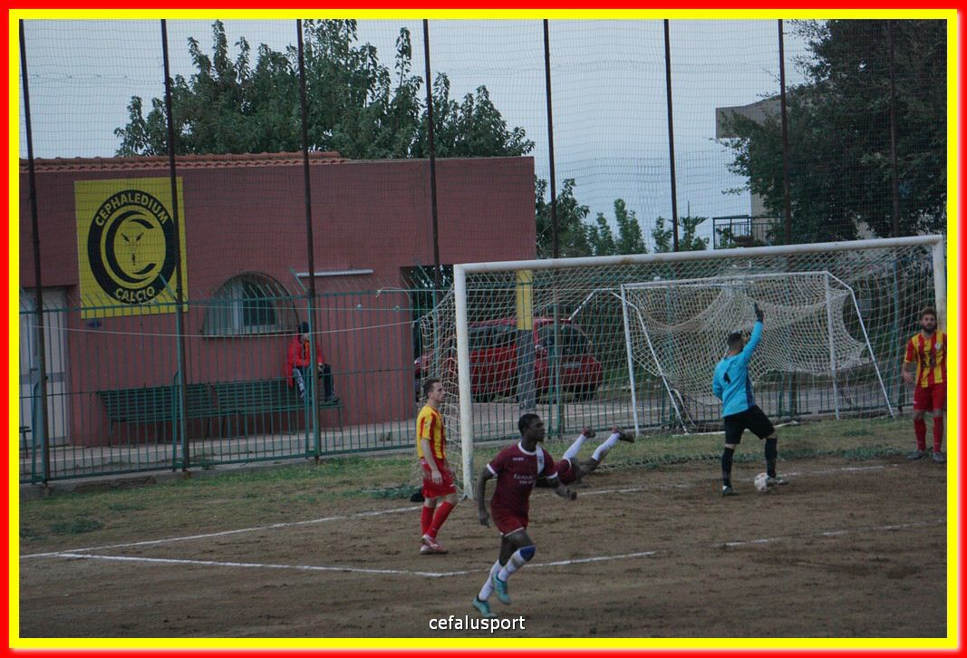 DSC03396.jpg