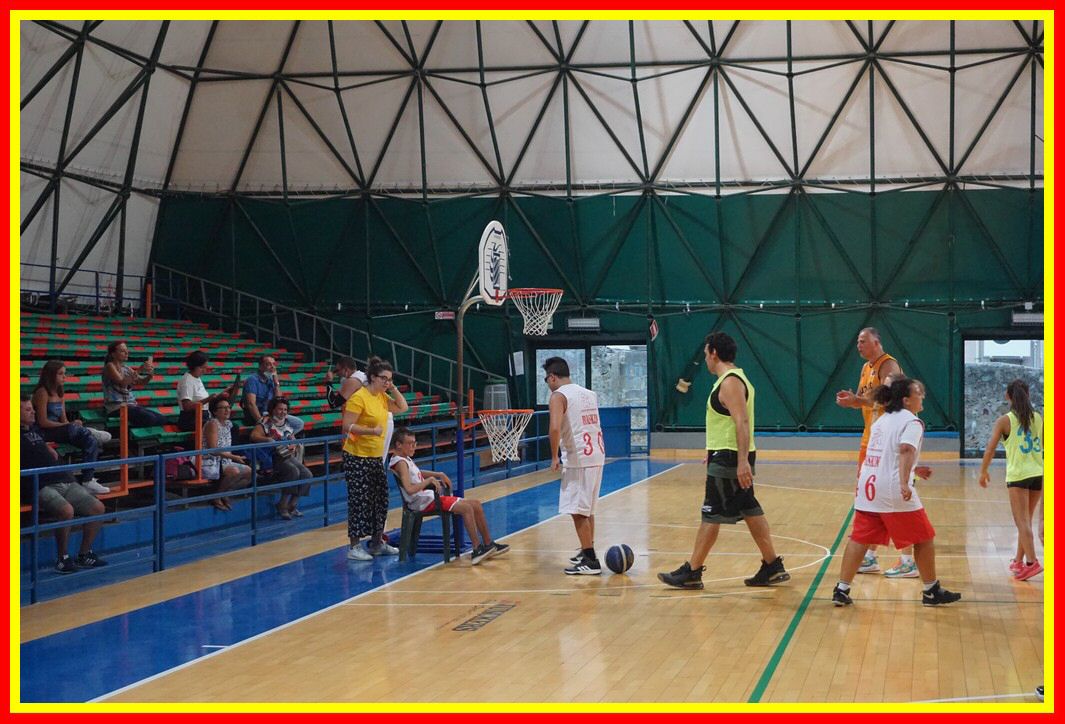 DSC07877_tn.jpg