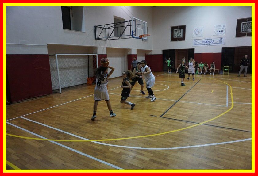 DSC01565_tn.jpg
