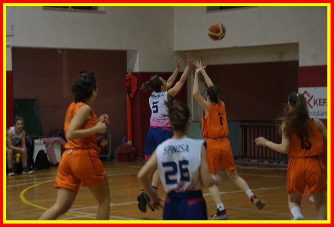 DSC06404_tn.jpg