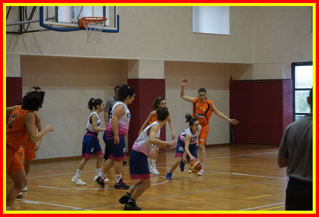 DSC06407_tn.jpg