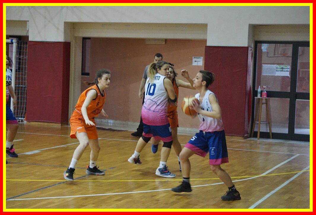 DSC06436_tn.jpg