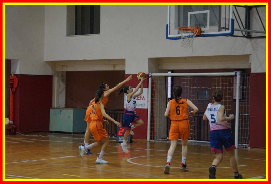 DSC06442_tn.jpg