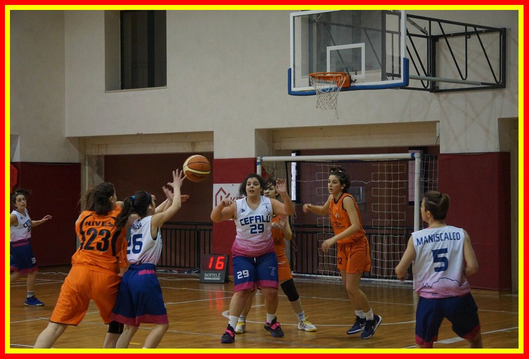 DSC06446_tn.jpg