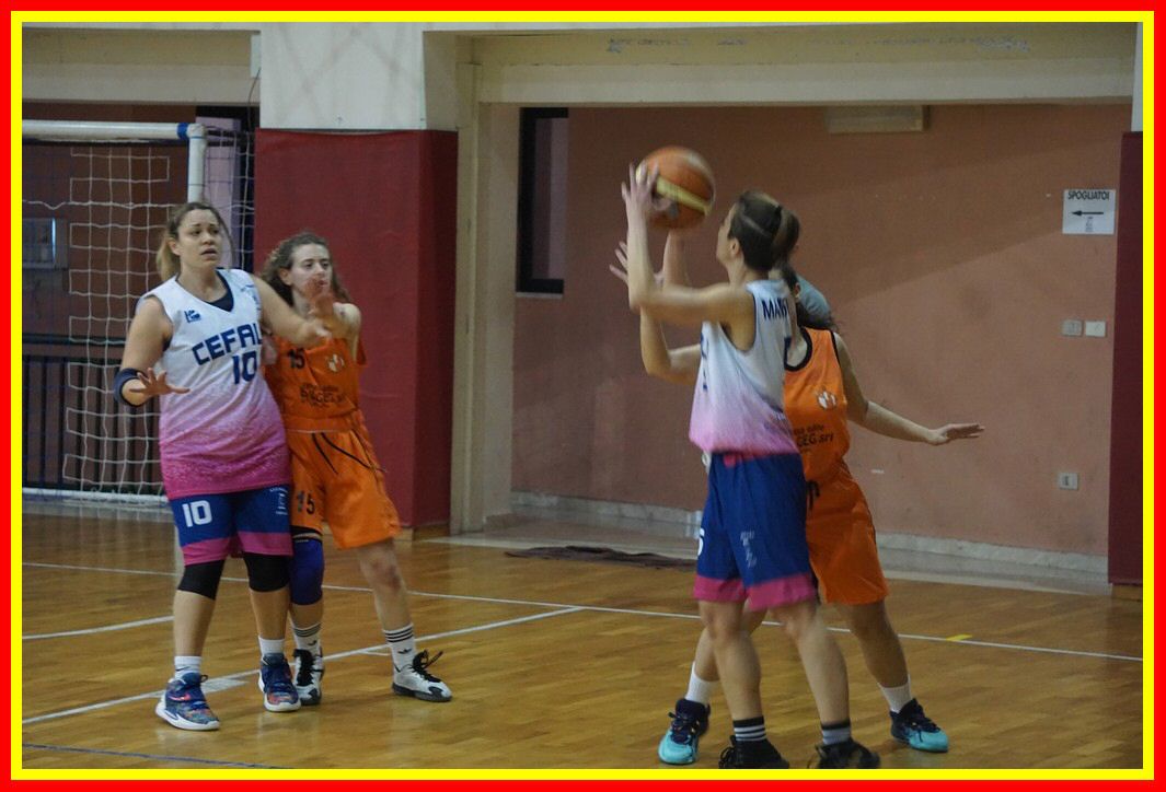 DSC06467_tn.jpg