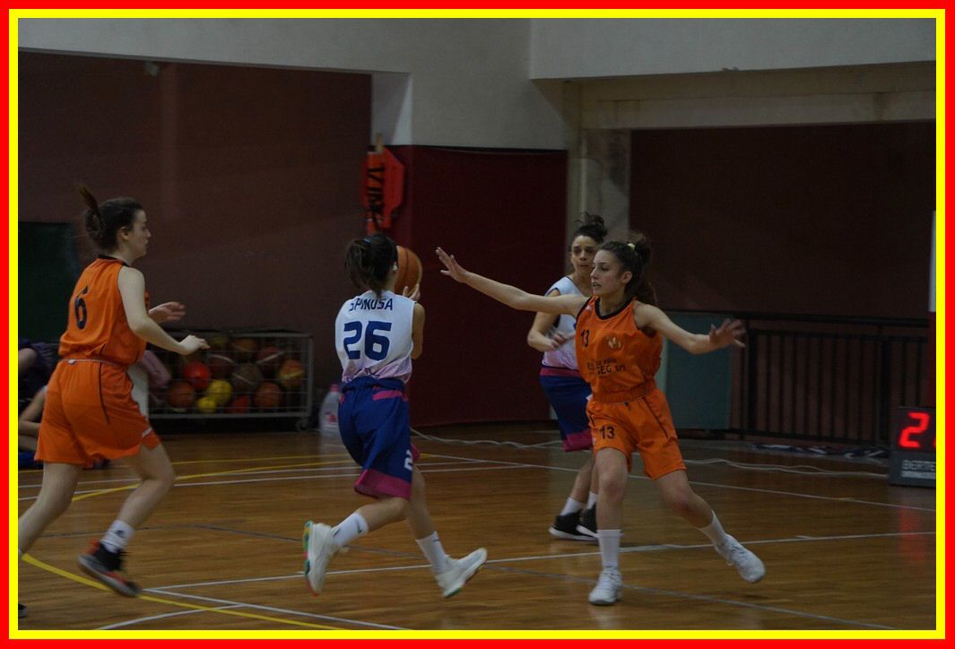 DSC06470_tn.jpg